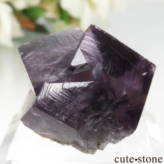 ǥʥ٥ Purple Rain Pocket ե饤Ȥθ No.17μ̿1 cute stone