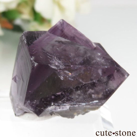 ǥʥ٥ Purple Rain Pocket ե饤Ȥθ No.17μ̿2 cute stone