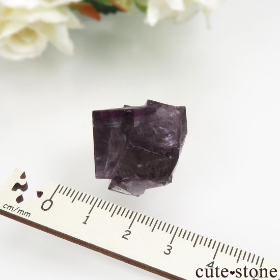 ǥʥ٥ Purple Rain Pocket ե饤Ȥθ No.17μ̿3 cute stone
