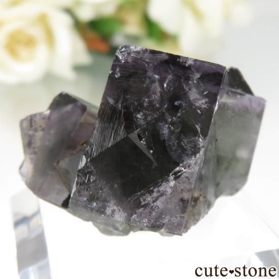 ǥʥ٥ Purple Rain Pocket ե饤Ȥθ No.18μ̿1 cute stone