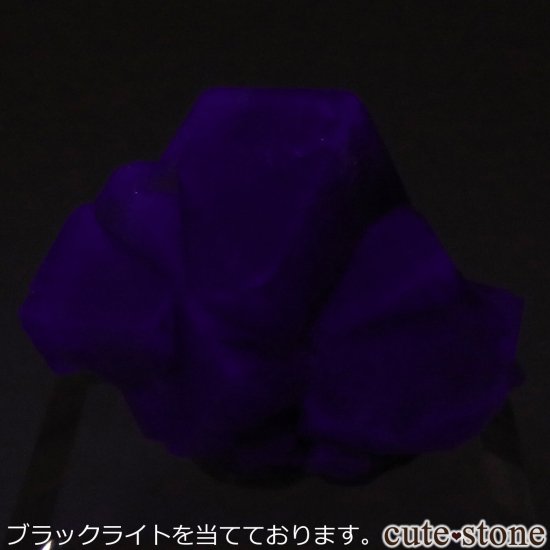 ǥʥ٥ Purple Rain Pocket ե饤Ȥθ No.18μ̿4 cute stone