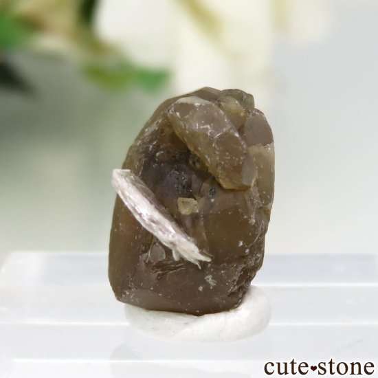 ֥饸 Goiabeira ϥɥإǥ饤ȡ⥹ХȤθ No.1μ̿0 cute stone