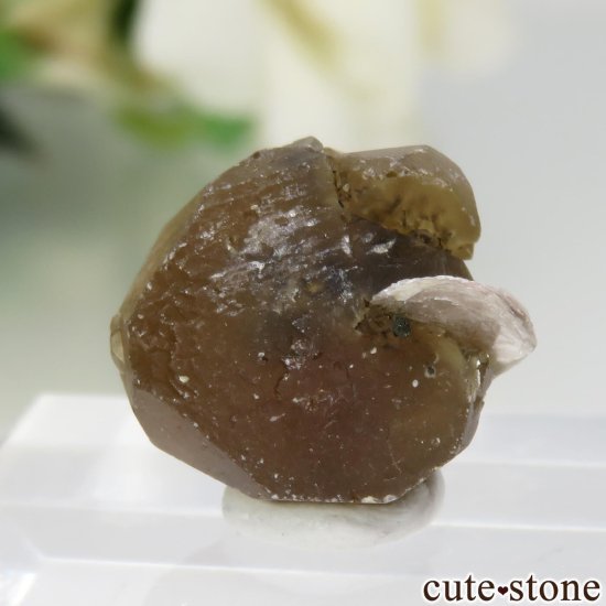 ֥饸 Goiabeira ϥɥإǥ饤ȡ⥹ХȤθ No.1μ̿1 cute stone
