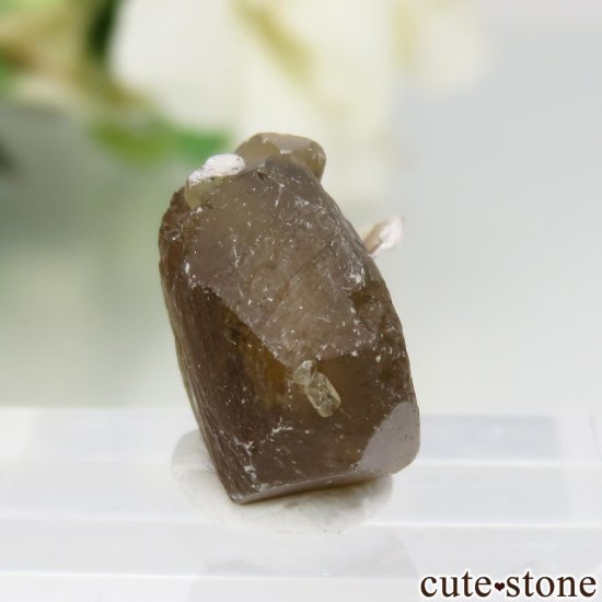 ֥饸 Goiabeira ϥɥإǥ饤ȡ⥹ХȤθ No.1μ̿2 cute stone