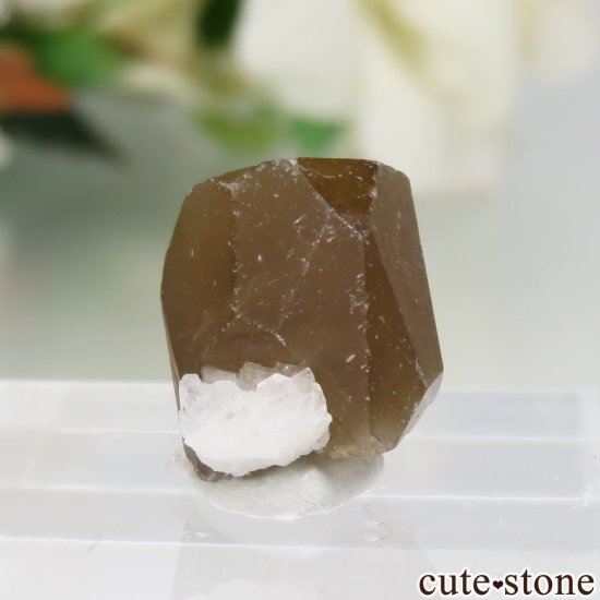 ֥饸 Goiabeira ϥɥإǥ饤ȡХȤθ No.2μ̿0 cute stone