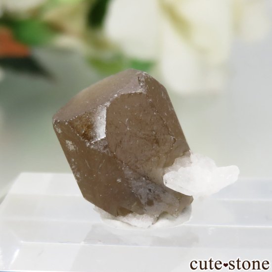 ֥饸 Goiabeira ϥɥإǥ饤ȡХȤθ No.2μ̿1 cute stone