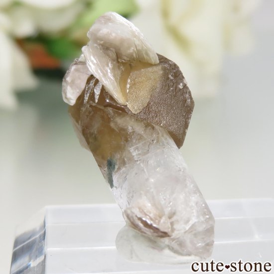 ֥饸 Goiabeira ϥɥإǥ饤ȡġ⥹ХȤθ No.3μ̿0 cute stone