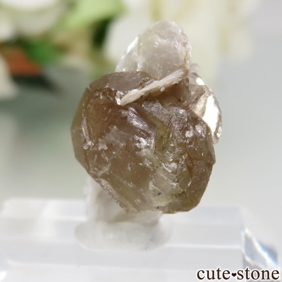 ֥饸 Goiabeira ϥɥإǥ饤ȡġ⥹ХȤθ No.3μ̿2 cute stone