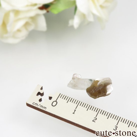 ֥饸 Goiabeira ϥɥإǥ饤ȡġ⥹ХȤθ No.3μ̿3 cute stone