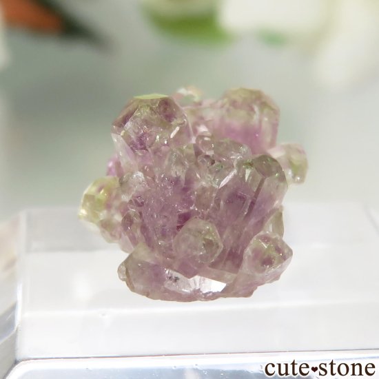 ʥ ٥å Jeffrey Mine ٥ӥʥȤθ No.4μ̿2 cute stone