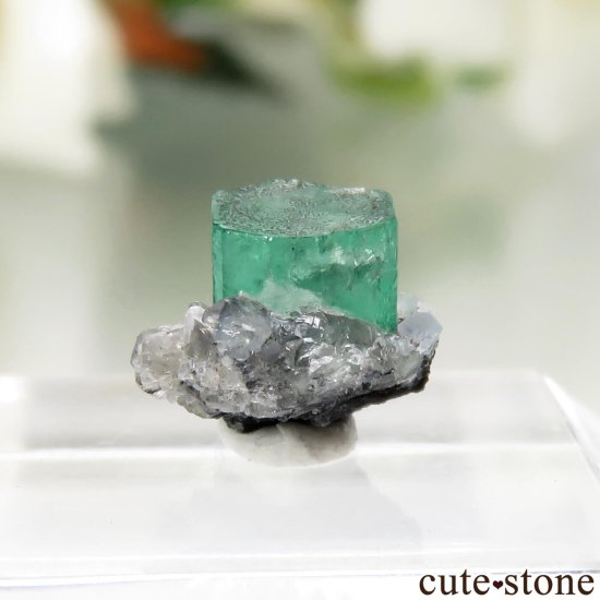 ӥ Chivor Mine ɤθ No.17μ̿1 cute stone
