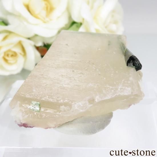 ֥饸 Sao Jose da Safira ֥롼ߥ꡼ȥޥġХȡԥɥ饤Ȥθ No.1μ̿0 cute stone