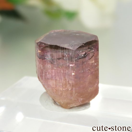 å Beni Bouzra ԥ󥯡ߥ꡼ȥޥθ No.4μ̿0 cute stone