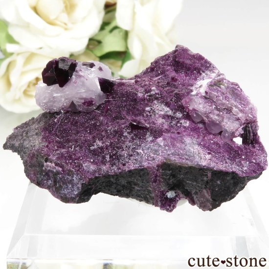 ȥ륳 Kop Krom mine 饤ȡ륵Ȥդ No.2μ̿2 cute stone