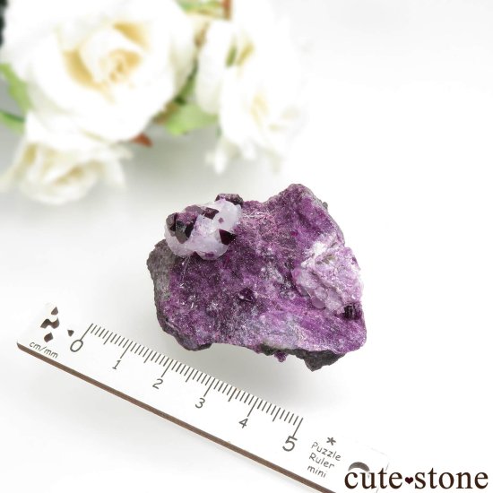 ȥ륳 Kop Krom mine 饤ȡ륵Ȥդ No.2μ̿6 cute stone