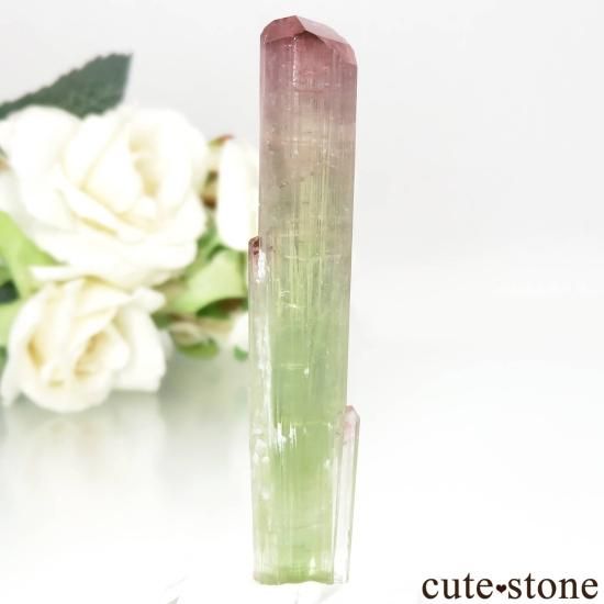 ե˥ Paprok ԥ󥯡ߥ꡼ȥޥθ No.9μ̿1 cute stone