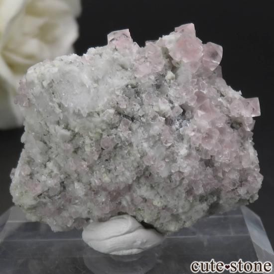 ե ֥ Argentiere Glacier ԥ󥯥ե饤Ȥդ No.10μ̿1 cute stone