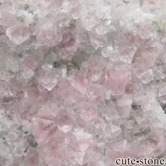 ե ֥ Argentiere Glacier ԥ󥯥ե饤Ȥդ No.10μ̿3 cute stone