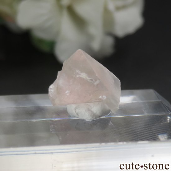 ե ֥ Aiguille Verte ԥ󥯥ե饤Ȥθ No.12μ̿0 cute stone