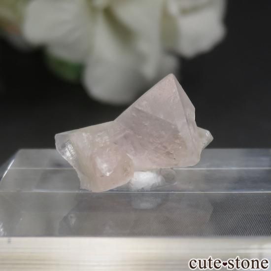 ե ֥ Aiguille Verte ԥ󥯥ե饤Ȥθ No.12μ̿1 cute stone