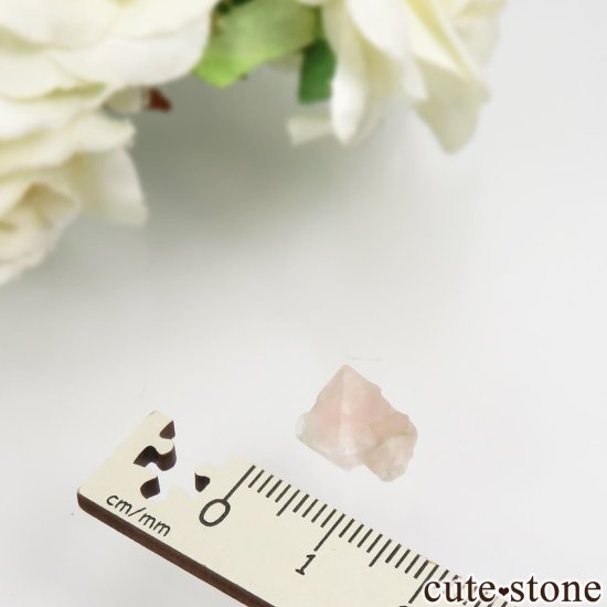 ե ֥ Aiguille Verte ԥ󥯥ե饤Ȥθ No.12μ̿3 cute stone