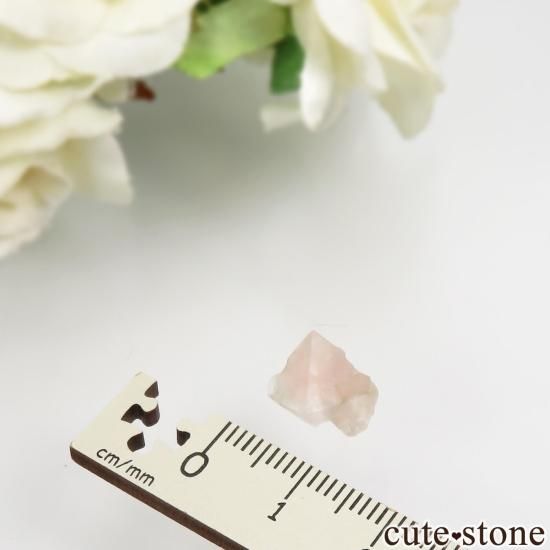 ե ֥ Aiguille Verte ԥ󥯥ե饤Ȥθ No.12μ̿3 cute stone