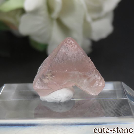ե ֥ Aiguille Verte ԥ󥯥ե饤Ȥθ No.13μ̿2 cute stone