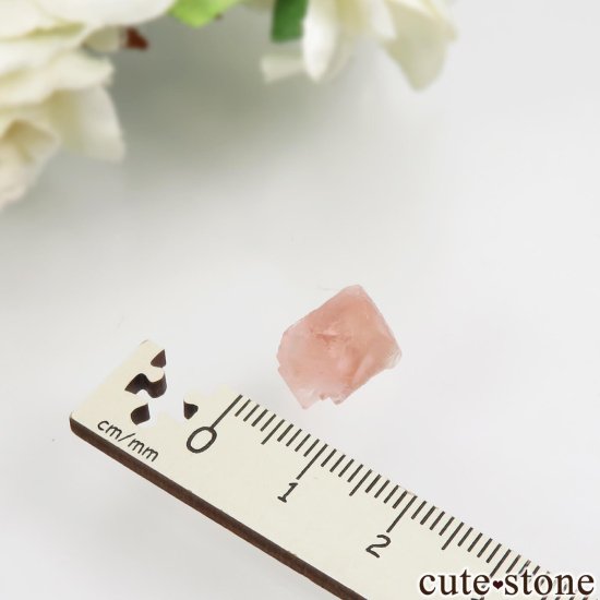 ե ֥ Aiguille Verte ԥ󥯥ե饤Ȥθ No.13μ̿3 cute stone