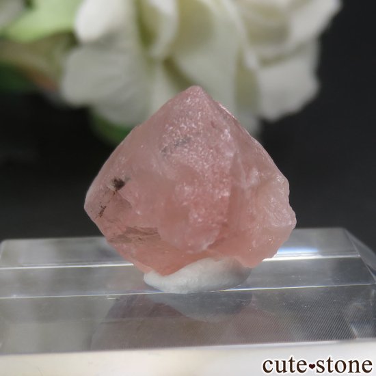 ե ֥ Aiguille Verte ԥ󥯥ե饤Ȥθ No.14μ̿1 cute stone