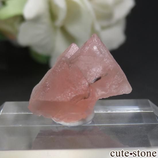 ե ֥ Aiguille Verte ԥ󥯥ե饤Ȥθ No.14μ̿2 cute stone
