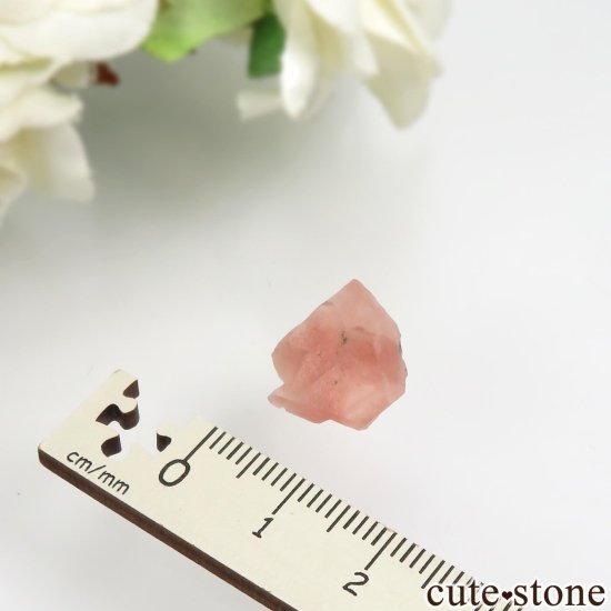 ե ֥ Aiguille Verte ԥ󥯥ե饤Ȥθ No.14μ̿3 cute stone