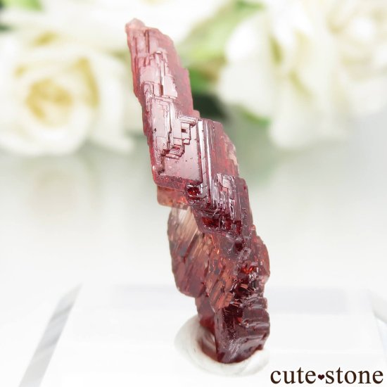 ֥饸 Navegadora claim ڥƥ󥬡ͥåȤθ No.5μ̿0 cute stone