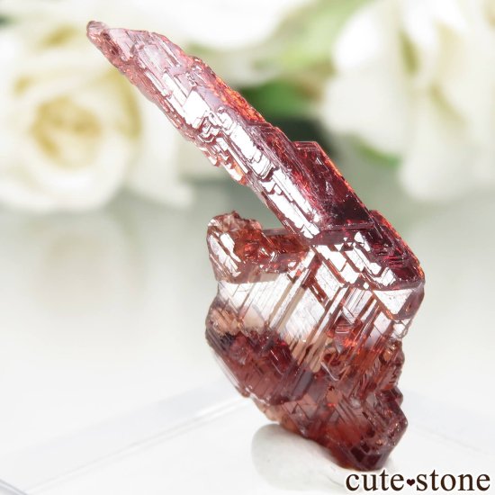 ֥饸 Navegadora claim ڥƥ󥬡ͥåȤθ No.5μ̿1 cute stone