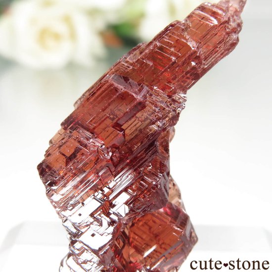 ֥饸 Navegadora claim ڥƥ󥬡ͥåȤθ No.5μ̿3 cute stone