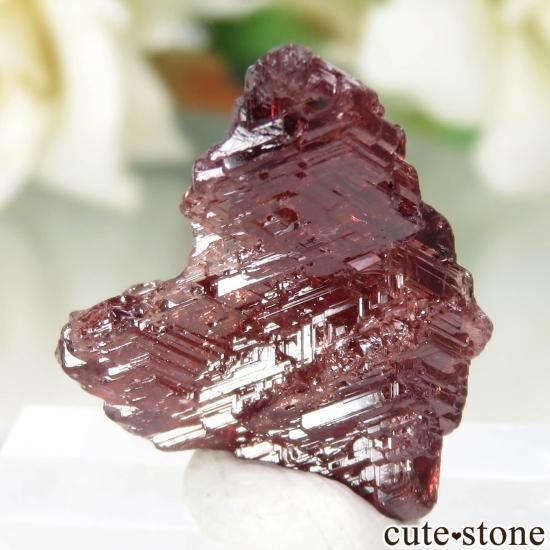 ֥饸 Navegadora claim ڥƥ󥬡ͥåȤθ No.6μ̿1 cute stone