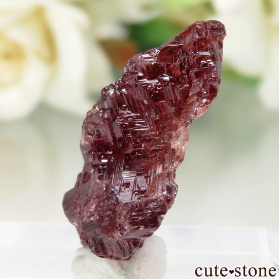 ֥饸 Navegadora claim ڥƥ󥬡ͥåȤθ No.6μ̿2 cute stone