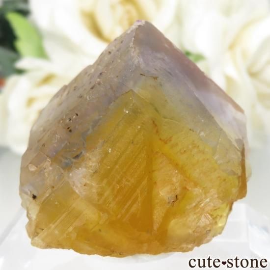 ե Valzergues ߥ֥롼ե饤Ȥη뾽ʸСNo.15μ̿1 cute stone