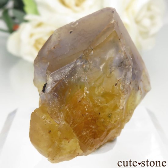 ե Valzergues ߥ֥롼ե饤Ȥη뾽ʸСNo.16μ̿1 cute stone