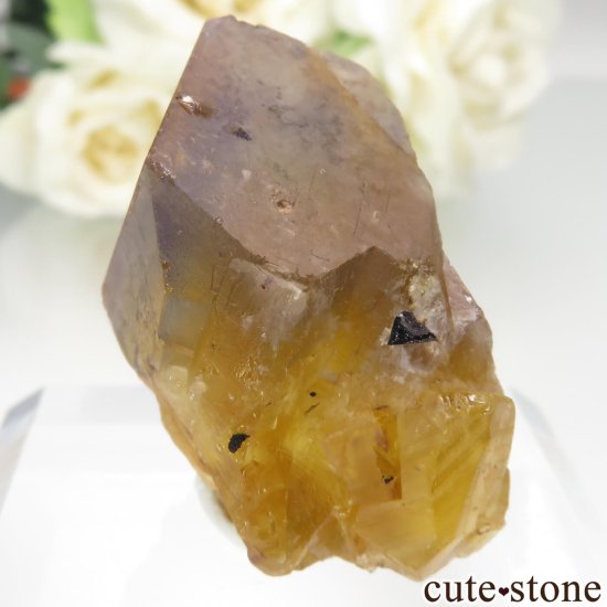 ե Valzergues ߥ֥롼ե饤Ȥη뾽ʸСNo.16μ̿2 cute stone