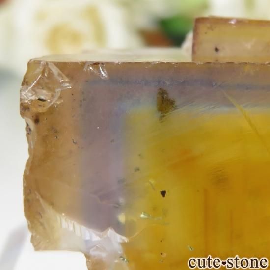 ե Valzergues ߥ֥롼ե饤Ȥη뾽ʸСNo.17μ̿3 cute stone