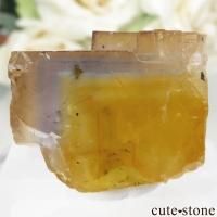 ե Valzergues ߥ֥롼ե饤Ȥη뾽ʸСNo.17β