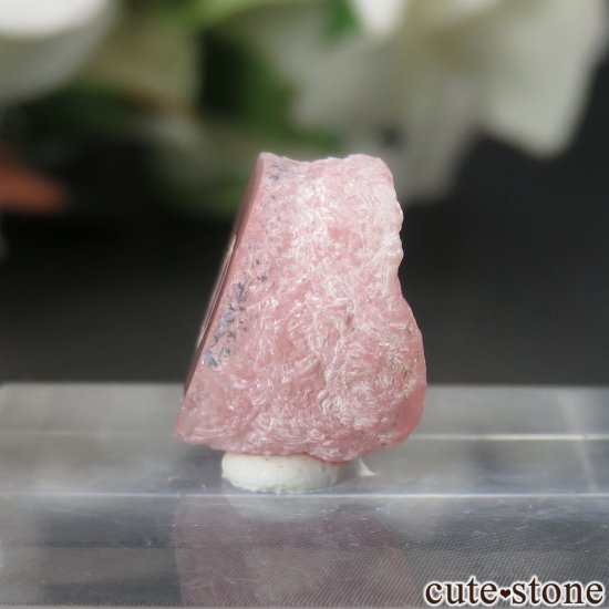 를 Capillitasɥȡʥ󥫥ˤΥ饤() No.5μ̿2 cute stone
