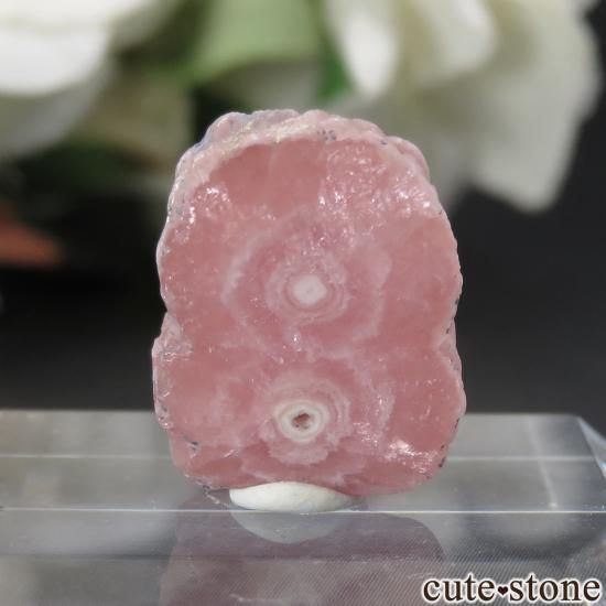 를 Capillitasɥȡʥ󥫥ˤΥ饤() No.6μ̿1 cute stone