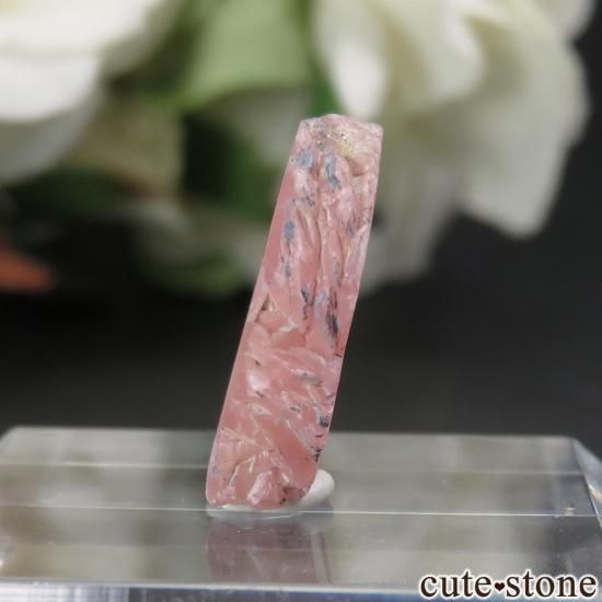 를 Capillitasɥȡʥ󥫥ˤΥ饤() No.6μ̿2 cute stone