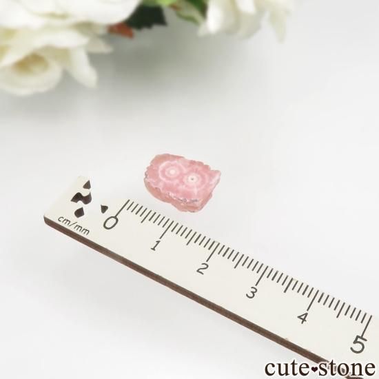 를 Capillitasɥȡʥ󥫥ˤΥ饤() No.6μ̿3 cute stone