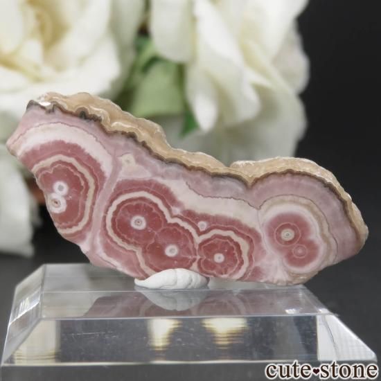 를 Capillitasɥȡʥ󥫥ˤΥ饤() No.7μ̿1 cute stone