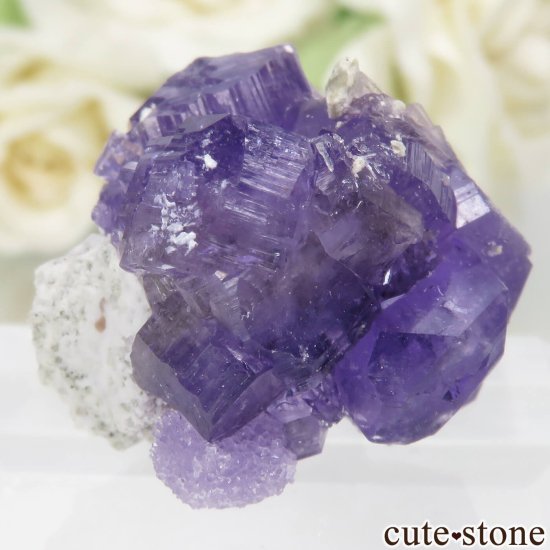 ꥢ Monte Arsiccio Mine ХȤդ뾽ʸСNo.3μ̿0 cute stone