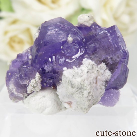 ꥢ Monte Arsiccio Mine ХȤդ뾽ʸСNo.3μ̿1 cute stone