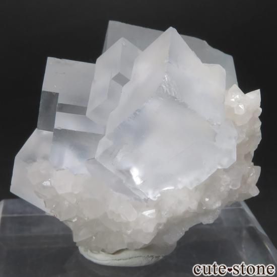 ɥ Clara Mine ե饤ȡĤθ No.2μ̿3 cute stone