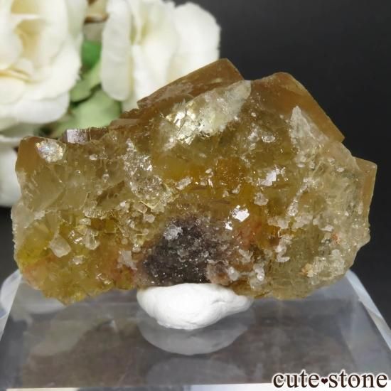 ڥ Moscona Mine ե饤 No.2μ̿1 cute stone